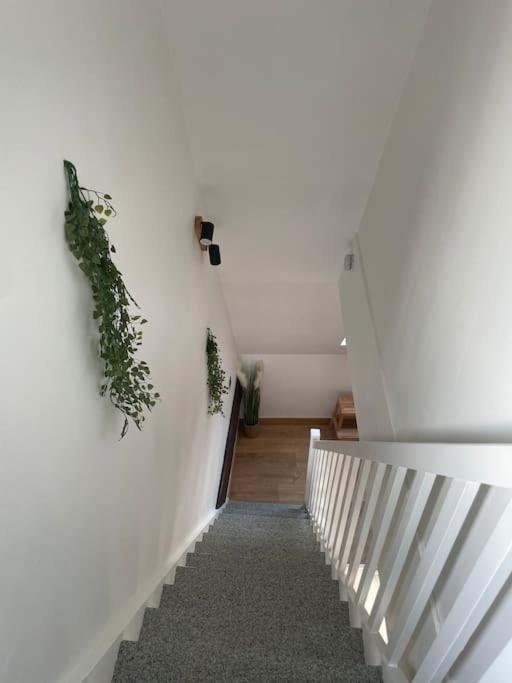 Duplex Bord De L'Eure - Parking Inclus - Jolie Vue Sur La Cathedrale Apartment Chartres Bagian luar foto