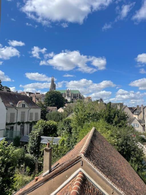 Duplex Bord De L'Eure - Parking Inclus - Jolie Vue Sur La Cathedrale Apartment Chartres Bagian luar foto